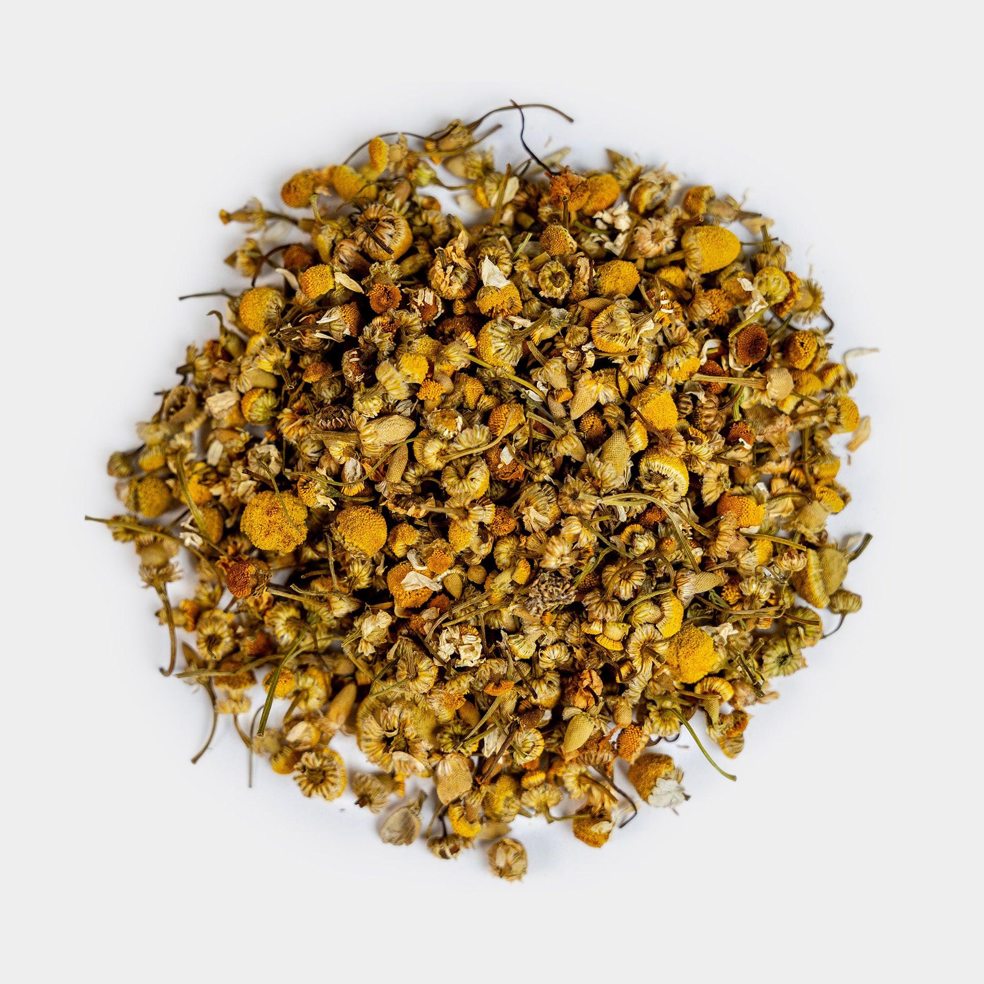 Egyptian Chamomile