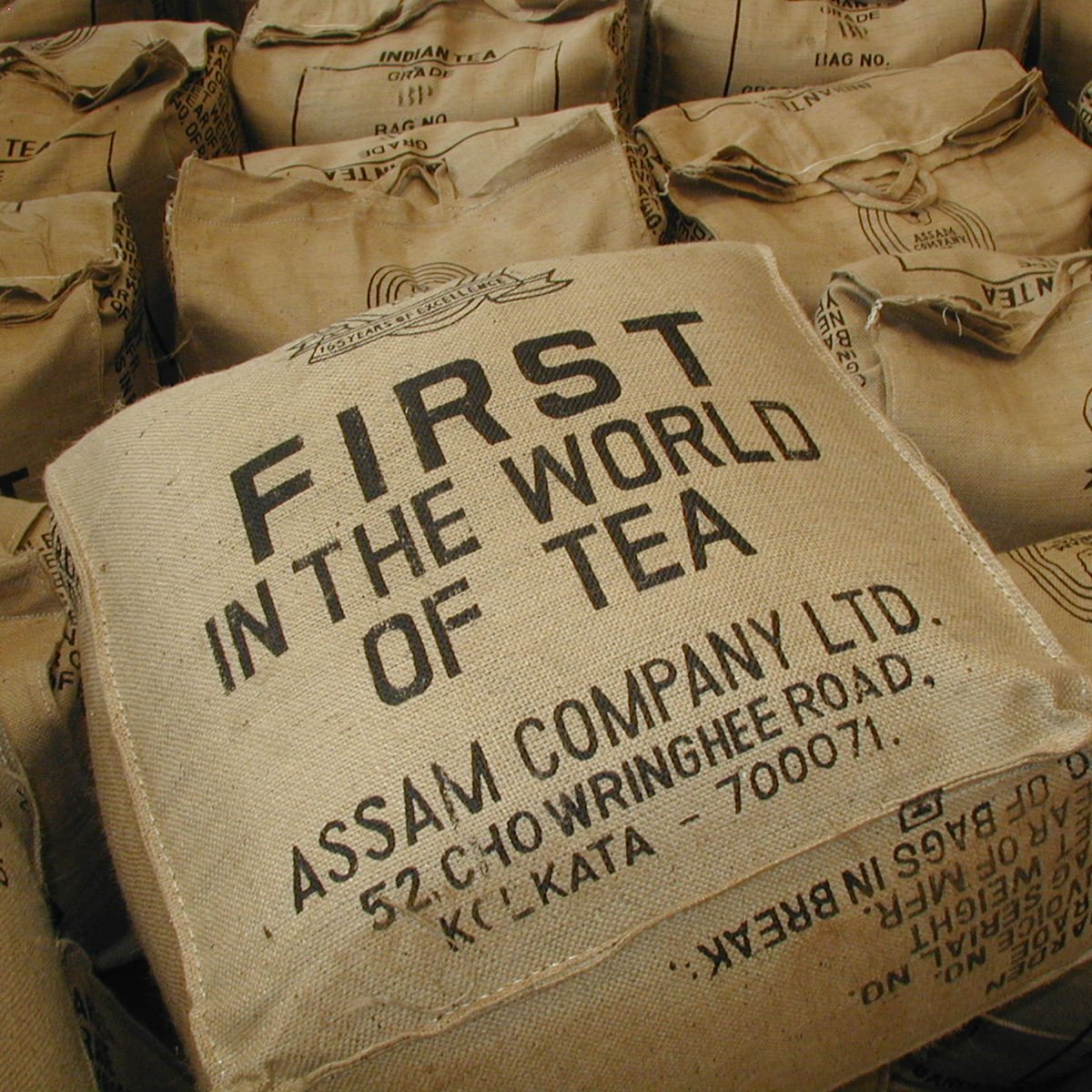 Assam Sessa Estate